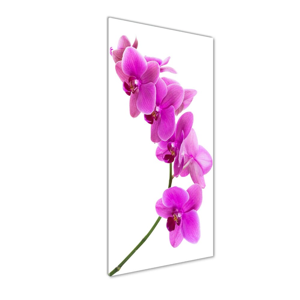 Obraz zdjęcie szkło akryl pionowy Różowa orchidea