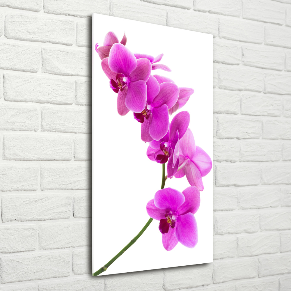 Obraz zdjęcie szkło akryl pionowy Różowa orchidea
