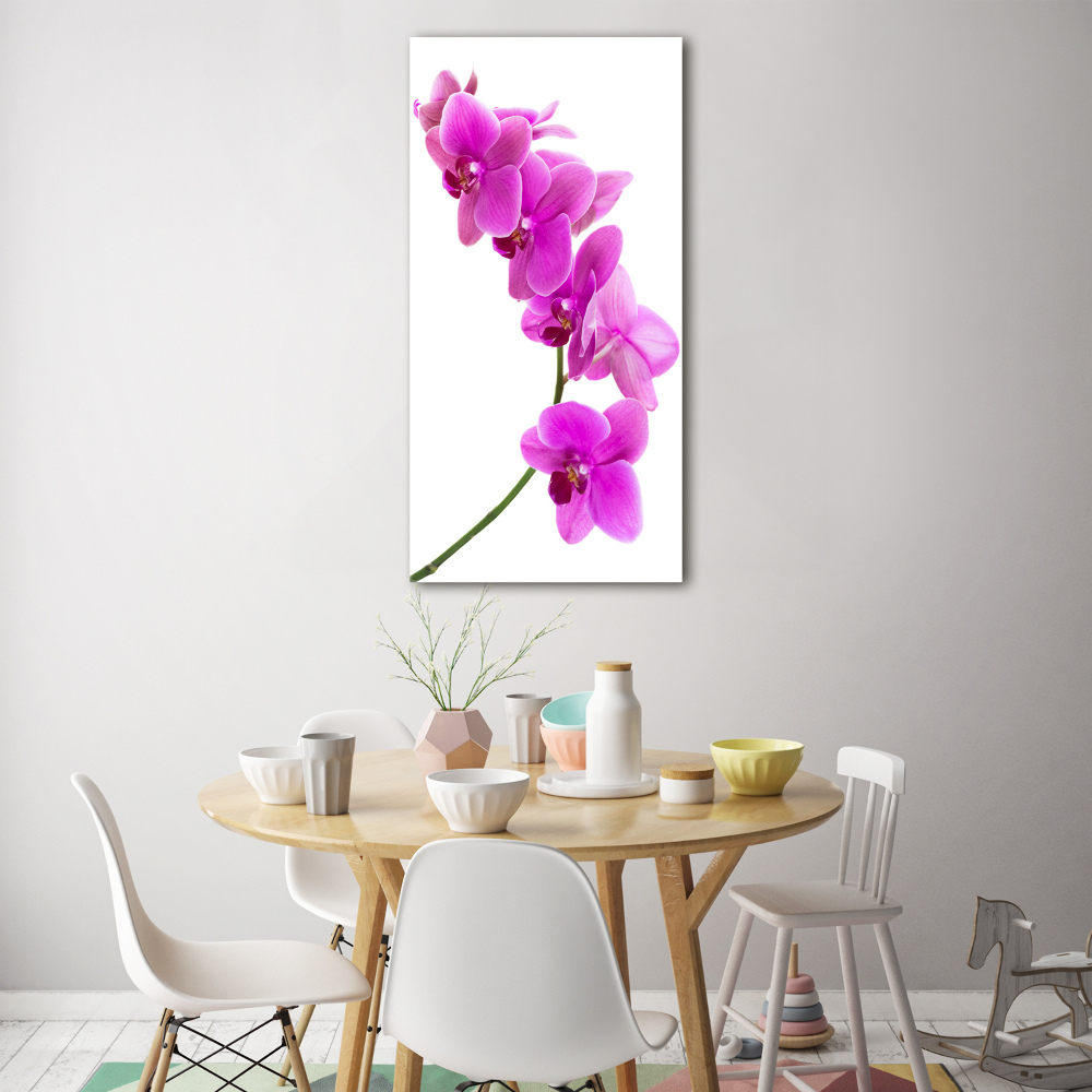 Obraz zdjęcie szkło akryl pionowy Różowa orchidea
