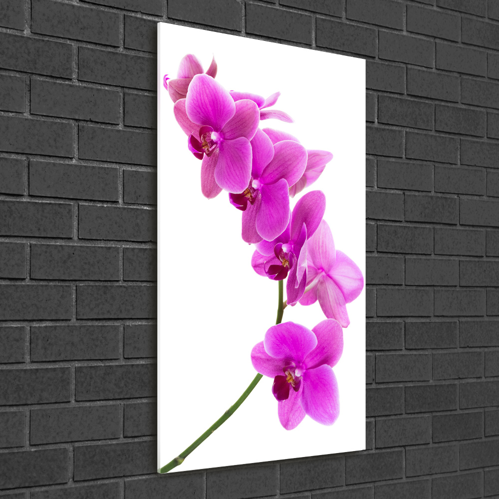 Obraz zdjęcie szkło akryl pionowy Różowa orchidea
