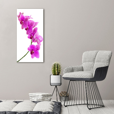 Obraz zdjęcie szkło akryl pionowy Różowa orchidea
