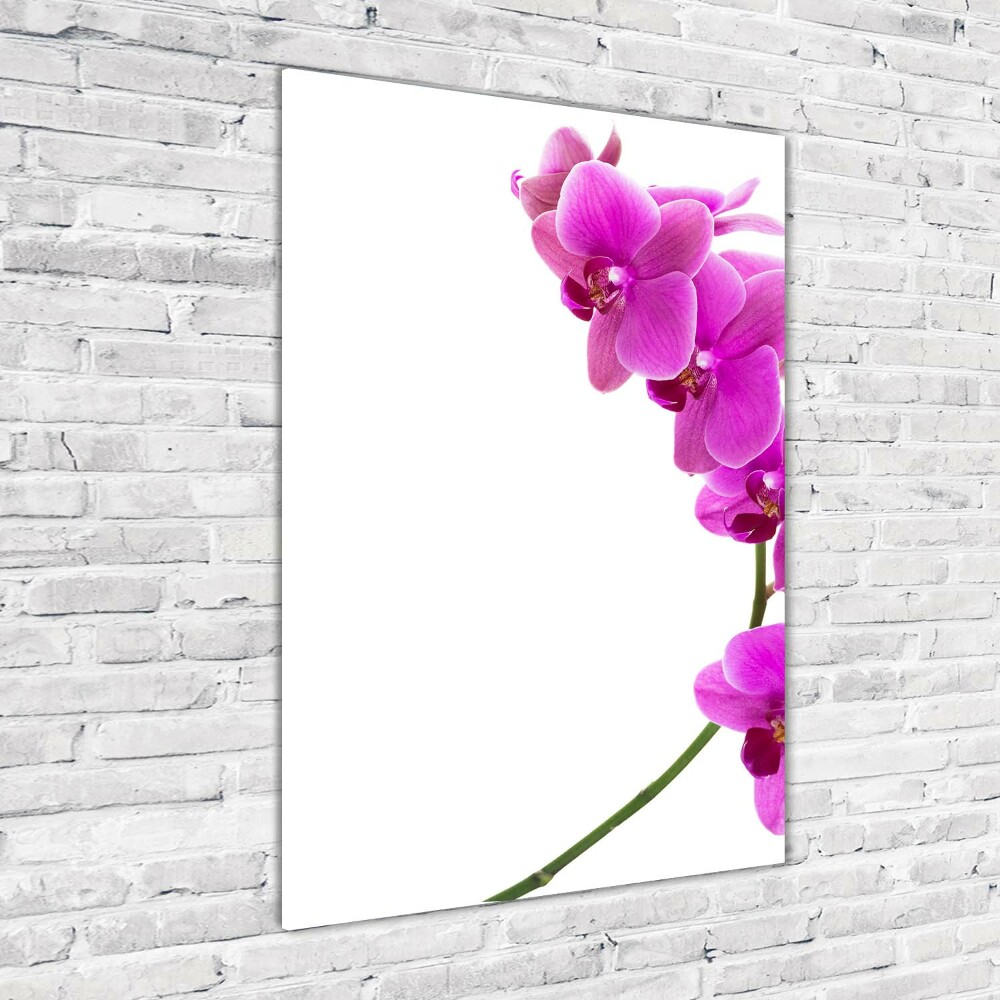 Obraz zdjęcie szkło akryl pionowy Różowa orchidea