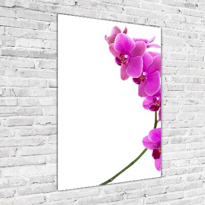 Obraz zdjęcie szkło akryl pionowy Różowa orchidea