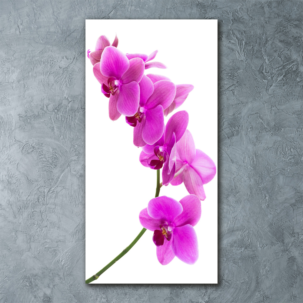 Obraz zdjęcie szkło akryl pionowy Różowa orchidea