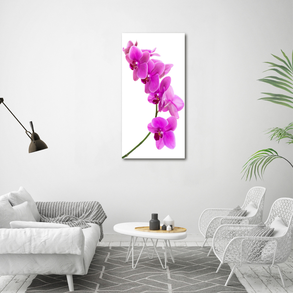 Obraz zdjęcie szkło akryl pionowy Różowa orchidea