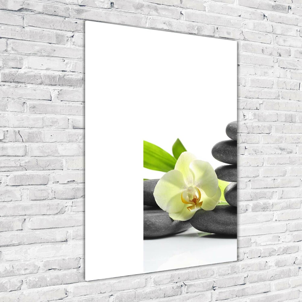 Foto obraz szkło akryl pionowy Orchidea i kamienie