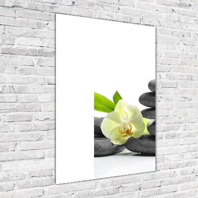 Foto obraz szkło akryl pionowy Orchidea i kamienie