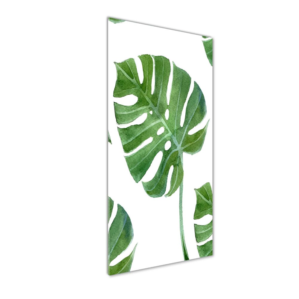 Obraz zdjęcie na ścianę akryl pionowy Monstera