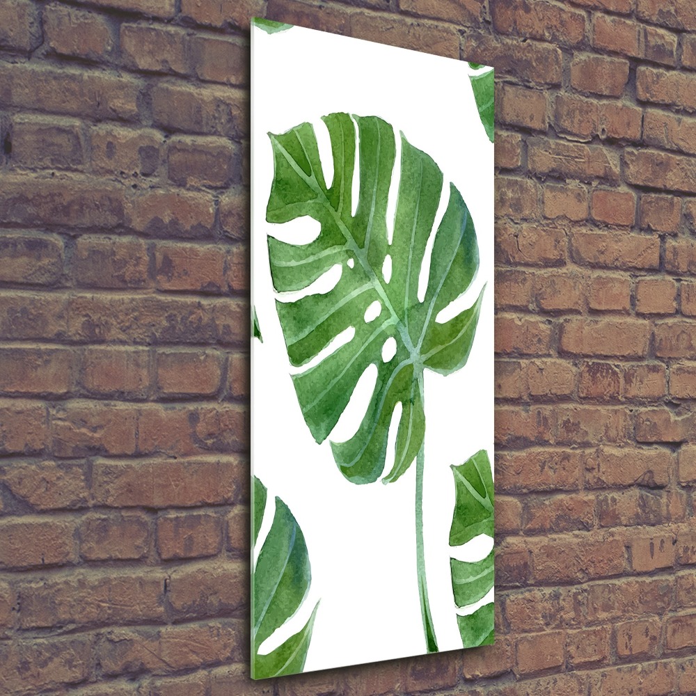 Obraz zdjęcie na ścianę akryl pionowy Monstera