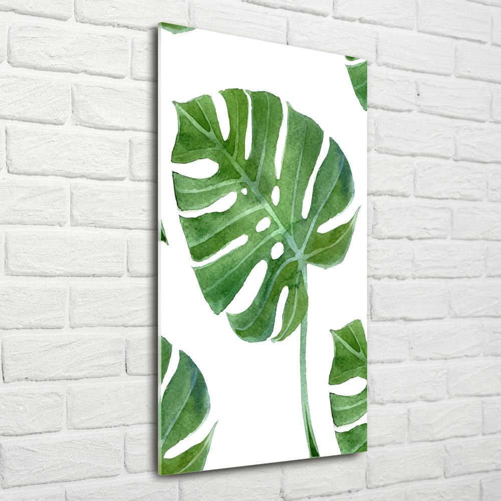 Obraz zdjęcie na ścianę akryl pionowy Monstera