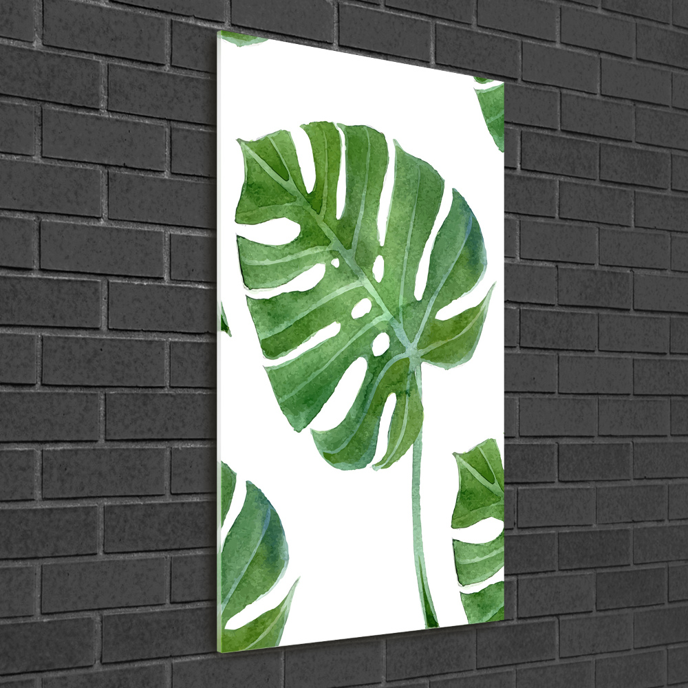 Obraz zdjęcie na ścianę akryl pionowy Monstera