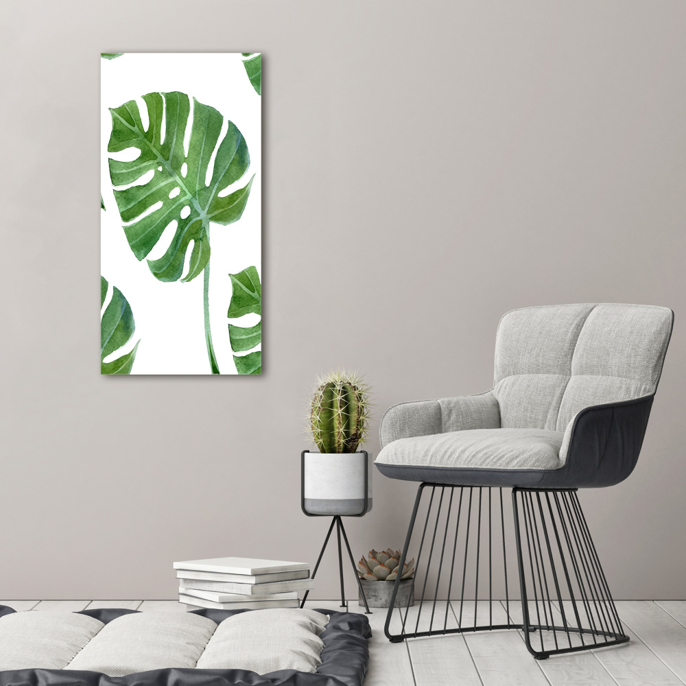 Obraz zdjęcie na ścianę akryl pionowy Monstera