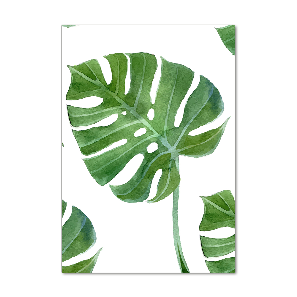 Obraz zdjęcie na ścianę akryl pionowy Monstera