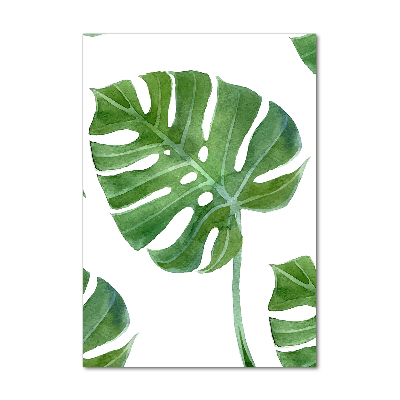 Obraz zdjęcie na ścianę akryl pionowy Monstera