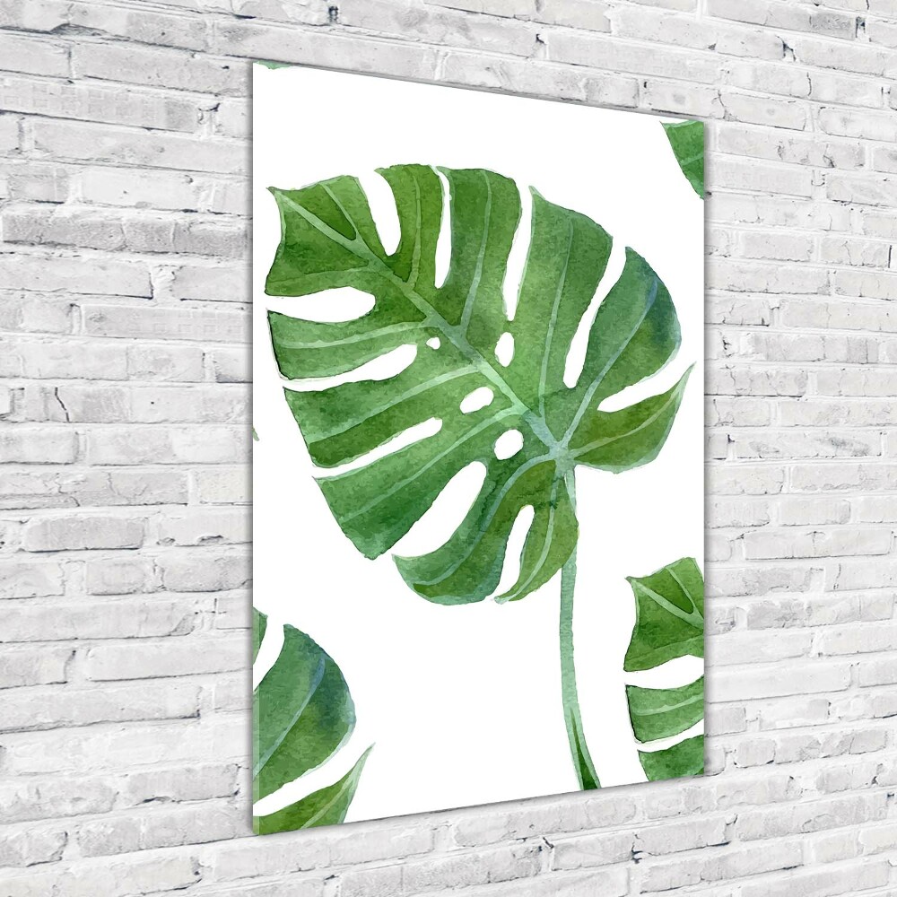 Obraz zdjęcie na ścianę akryl pionowy Monstera
