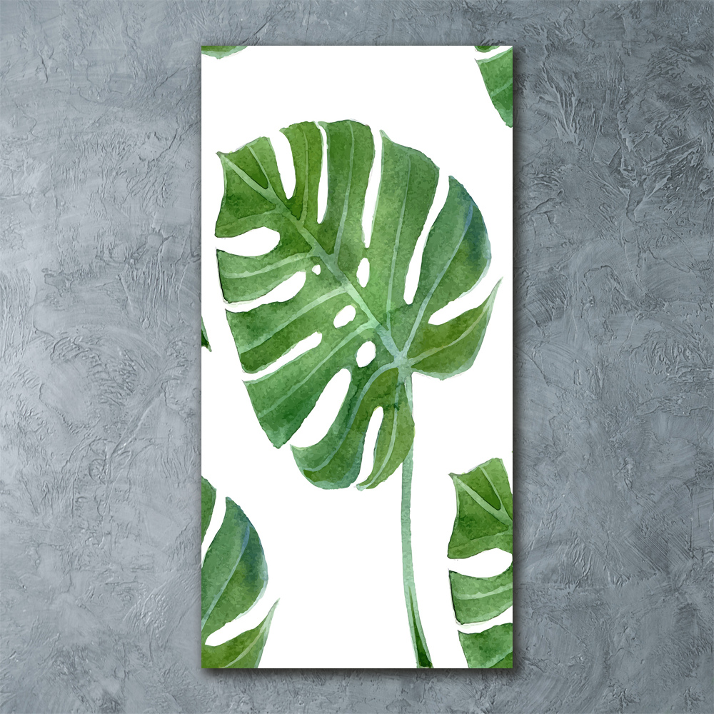 Obraz zdjęcie na ścianę akryl pionowy Monstera