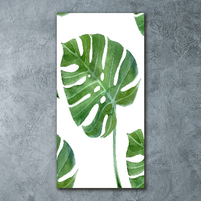 Obraz zdjęcie na ścianę akryl pionowy Monstera