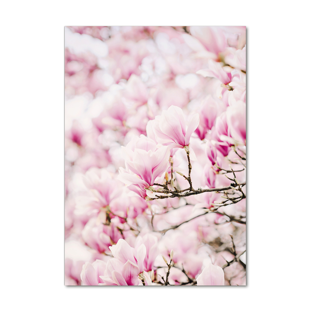 Obraz zdjęcie na ścianę akryl pionowy Kwiaty magnolii