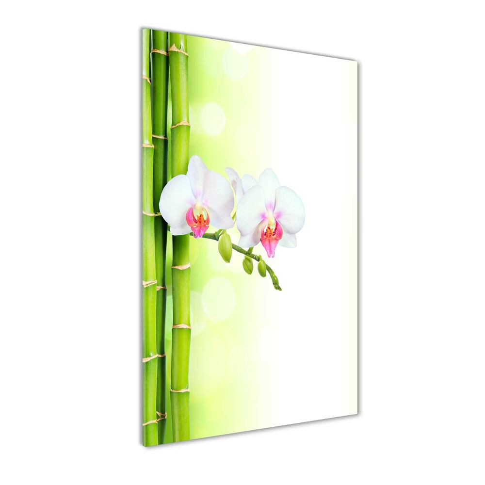 Obraz zdjęcie na ścianę akryl pionowy Orchidea i bambus