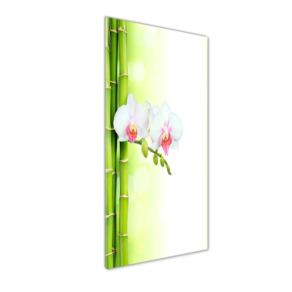 Obraz zdjęcie na ścianę akryl pionowy Orchidea i bambus