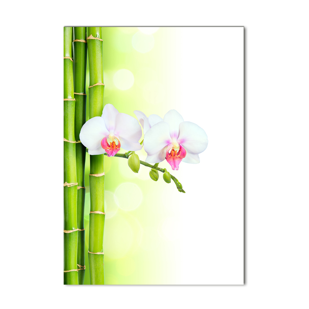 Obraz zdjęcie na ścianę akryl pionowy Orchidea i bambus