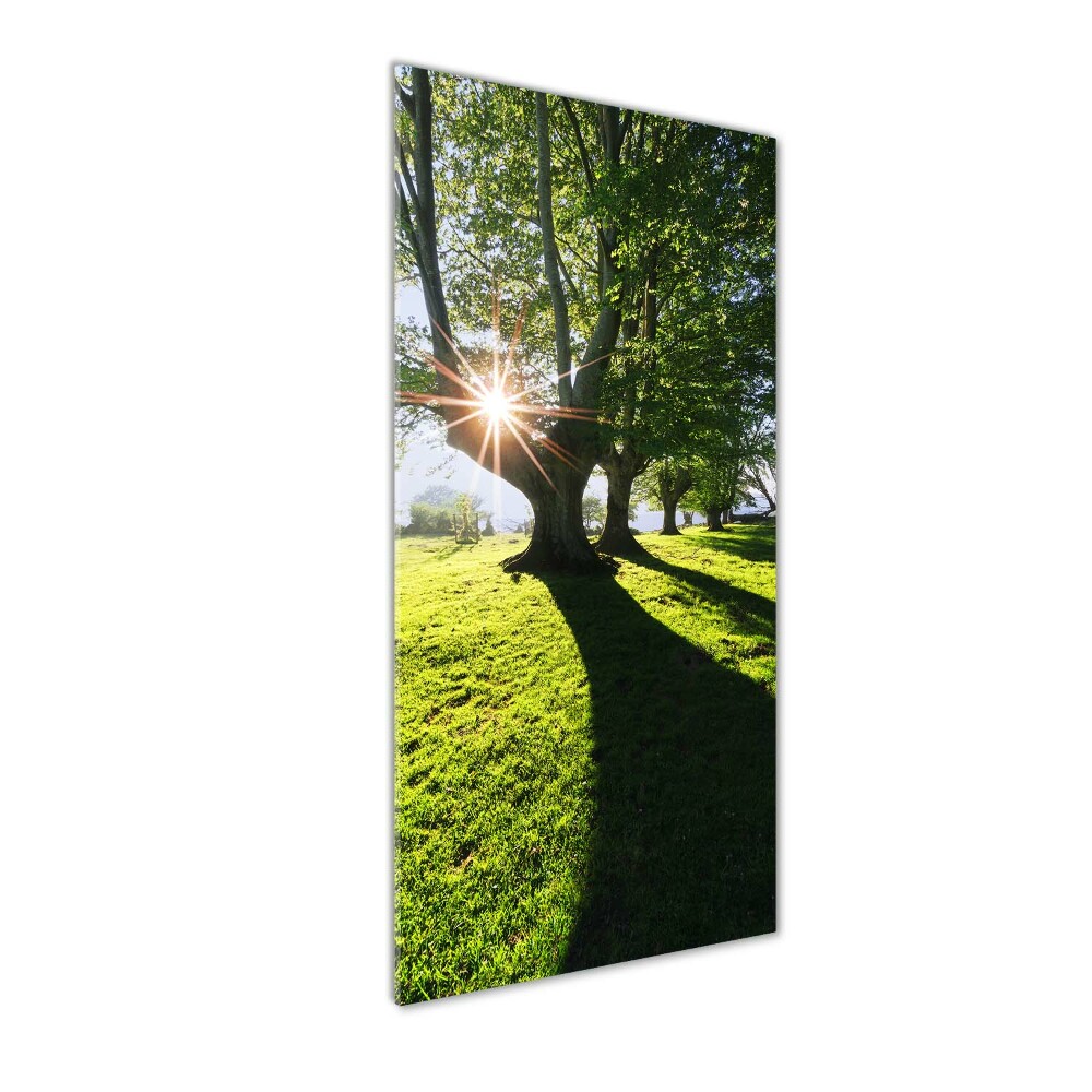 Foto obraz akryl pionowy Park