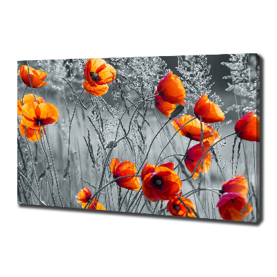 Foto obraz canvas Polne maki