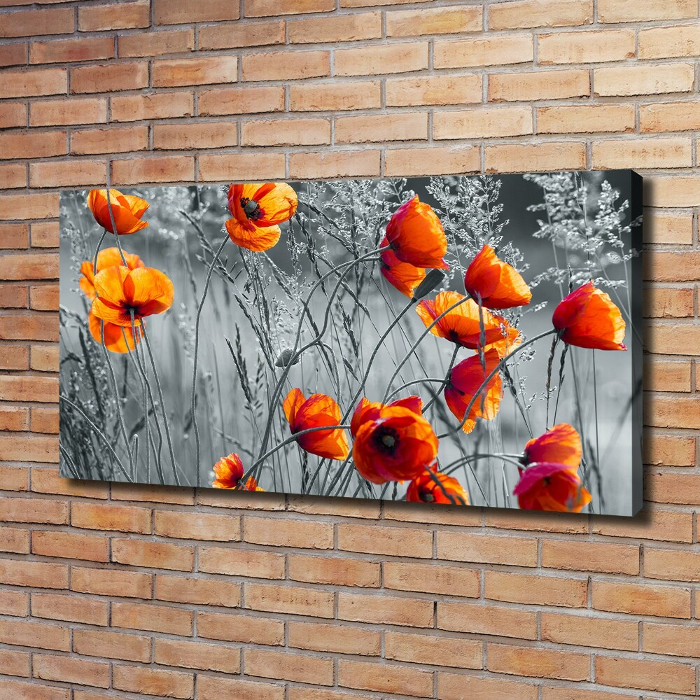 Foto obraz canvas Polne maki