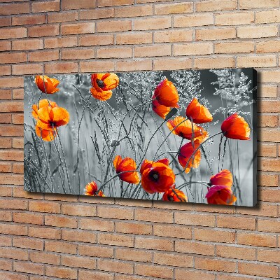 Foto obraz canvas Polne maki