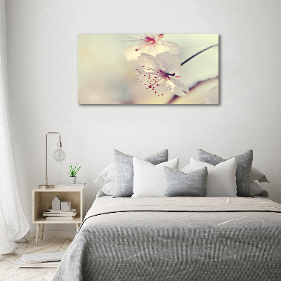 Foto obraz canvas Kwiat wiśni