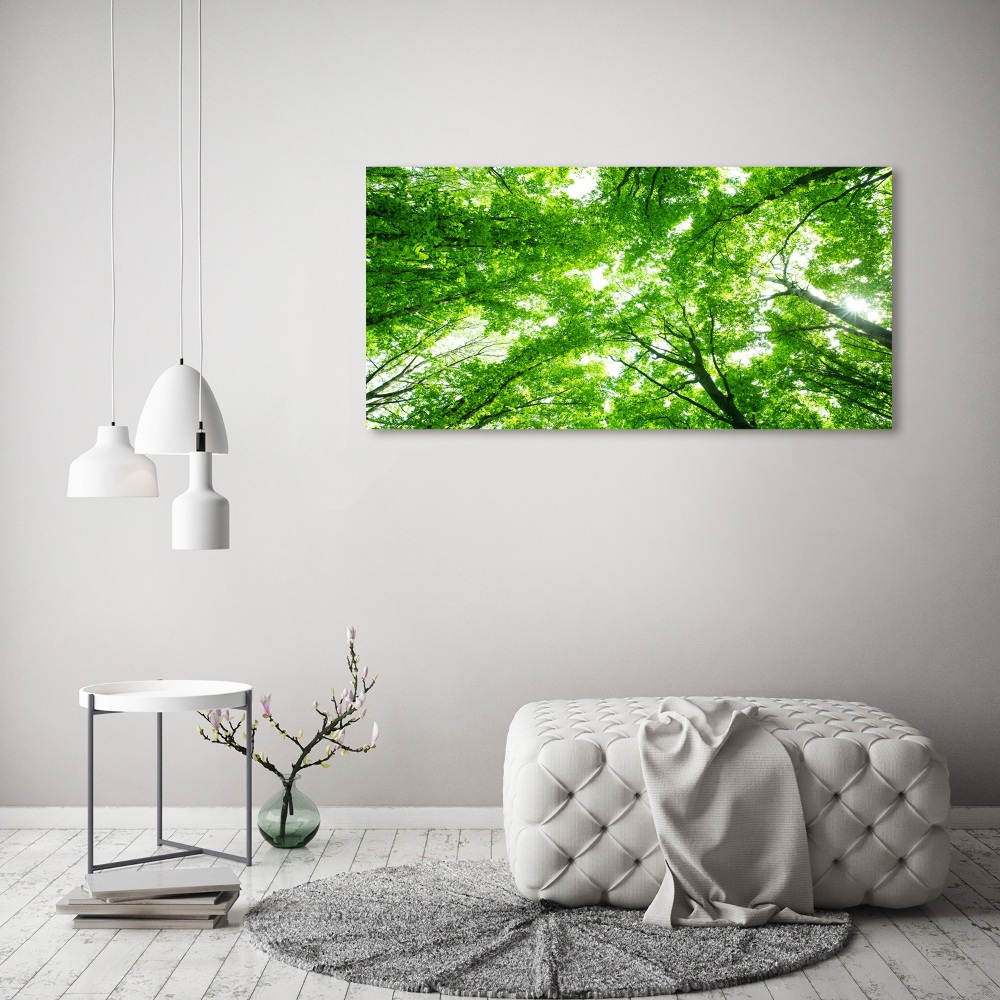 Foto obraz canvas Zielony las