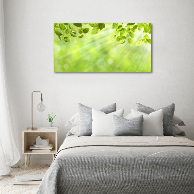 Duży foto obraz na ścianę canvas Liście