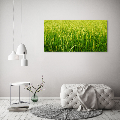 Foto obraz canvas Pole ryżowe