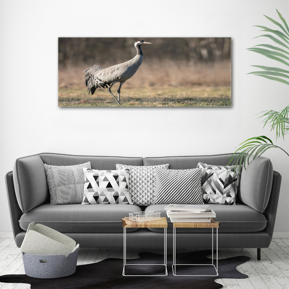 Duży foto obraz na ścianę canvas Czapla