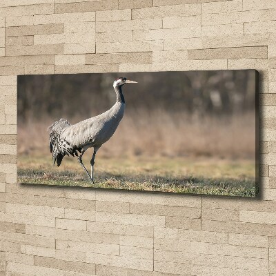 Duży foto obraz na ścianę canvas Czapla