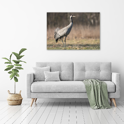 Duży foto obraz na ścianę canvas Czapla
