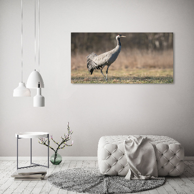 Duży foto obraz na ścianę canvas Czapla