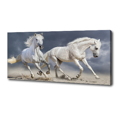 Obraz canvas do salonu Białe konie plaża