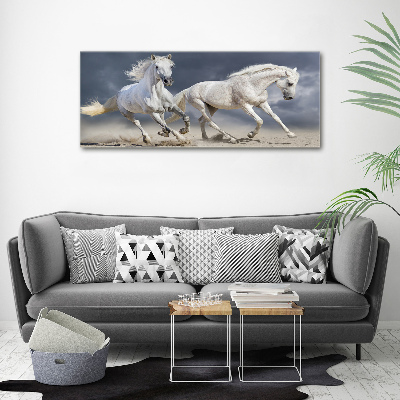 Obraz canvas do salonu Białe konie plaża