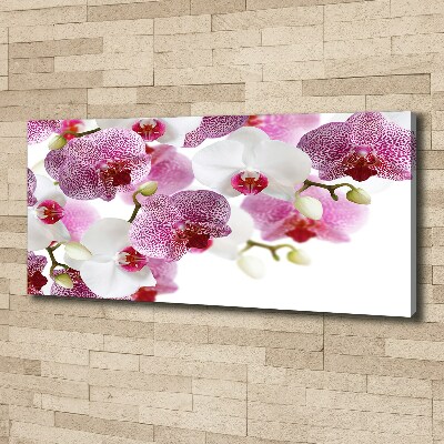 Foto obraz canvas Orchidea