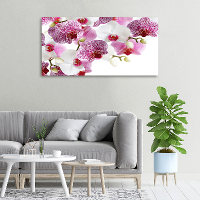Foto obraz canvas Orchidea