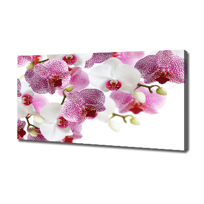 Foto obraz canvas Orchidea