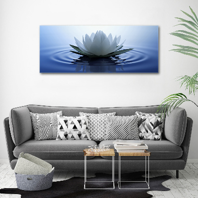 Foto obraz canvas Lilia wodna