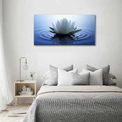 Foto obraz canvas Lilia wodna