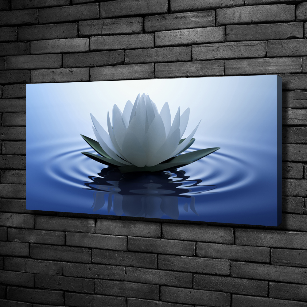 Foto obraz canvas Lilia wodna