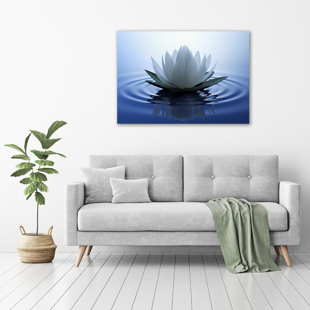 Foto obraz canvas Lilia wodna
