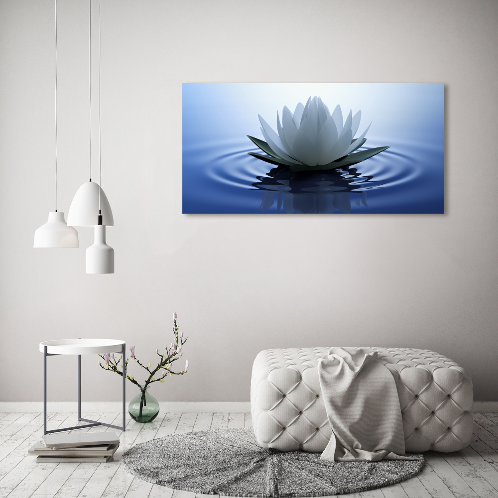 Foto obraz canvas Lilia wodna