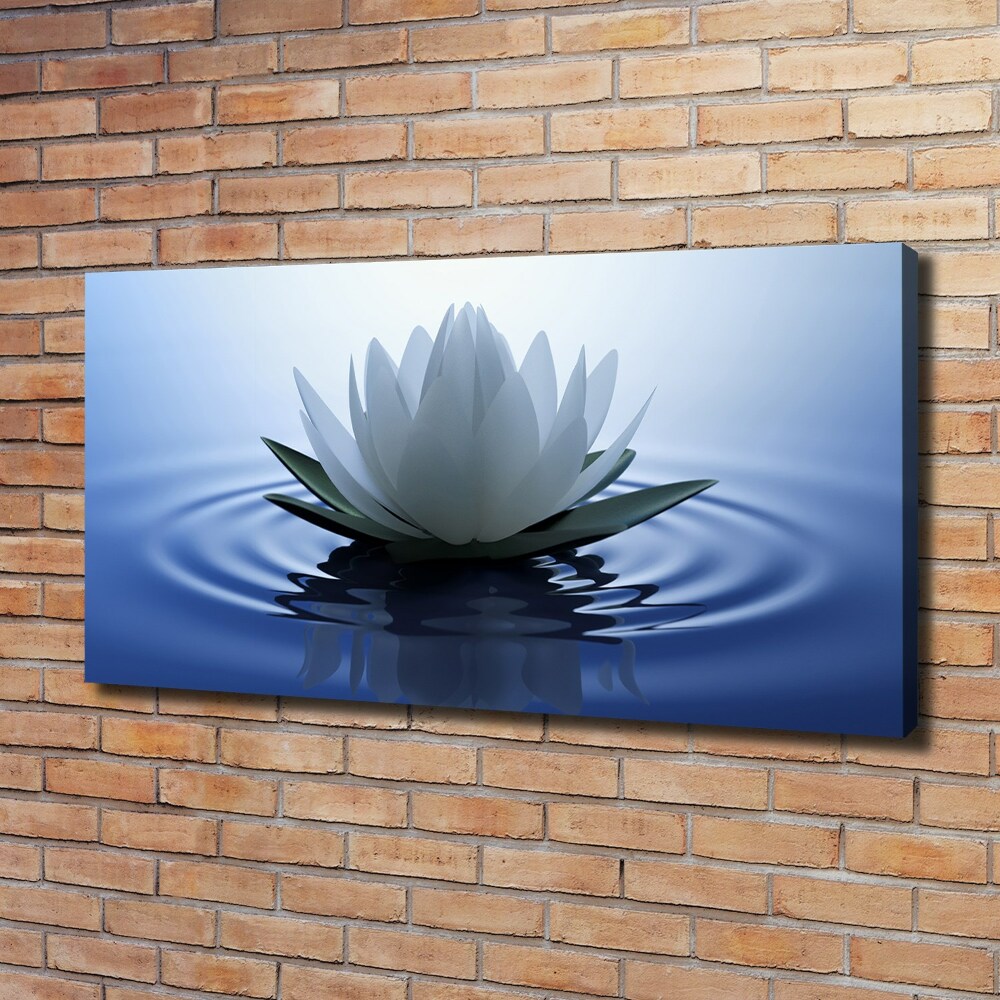 Foto obraz canvas Lilia wodna