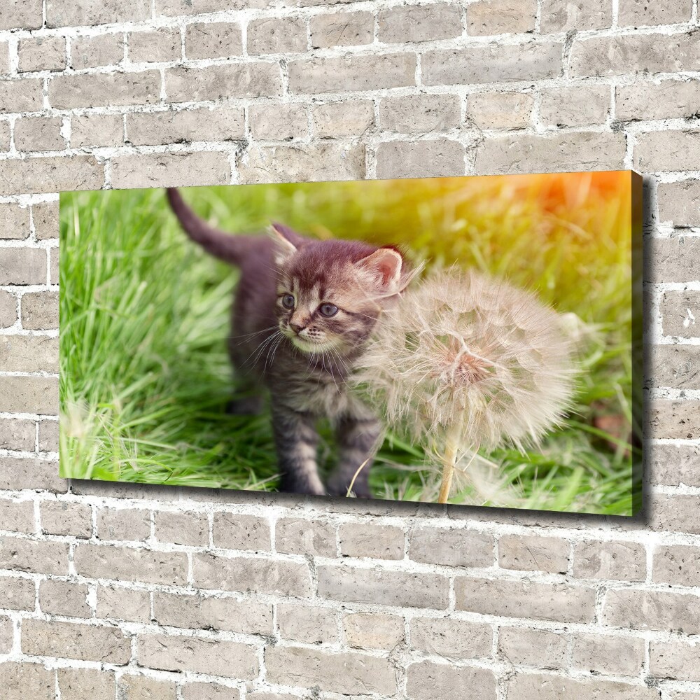 Obraz canvas do salonu Kotek z dmuchawcem