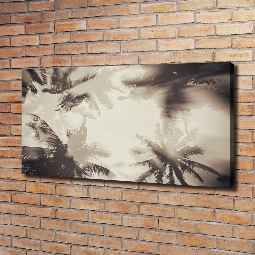 Foto obraz ze zdjęcia do salonu Palmy